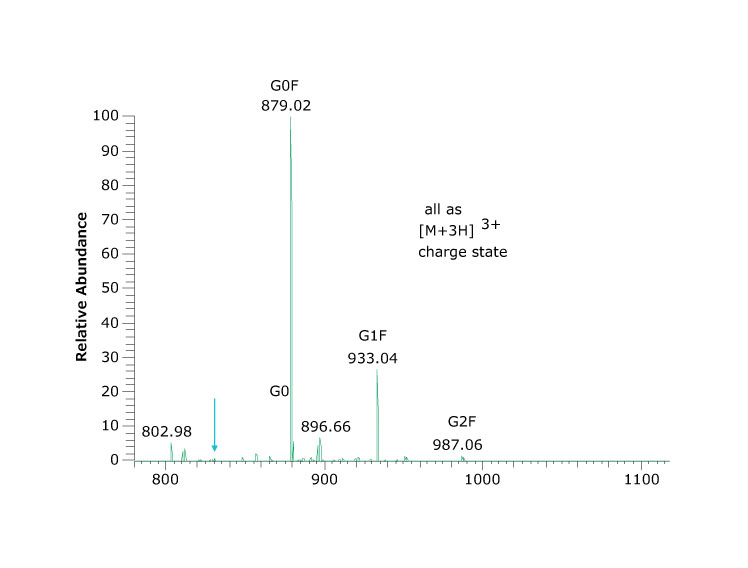 天冬酰胺 N301 处发现的聚糖光谱（上图）和丰度百分比（下图）