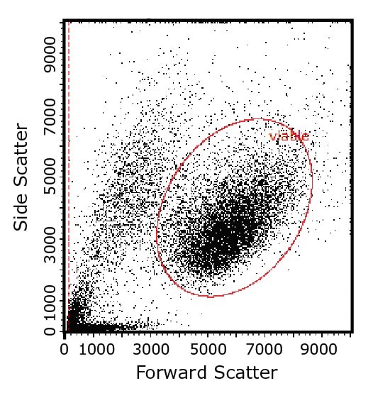 Flow cytometry plot showing how light-scattering characteristics of cells are used to identify cell populations of interest, here by their size and intracellular complexity.