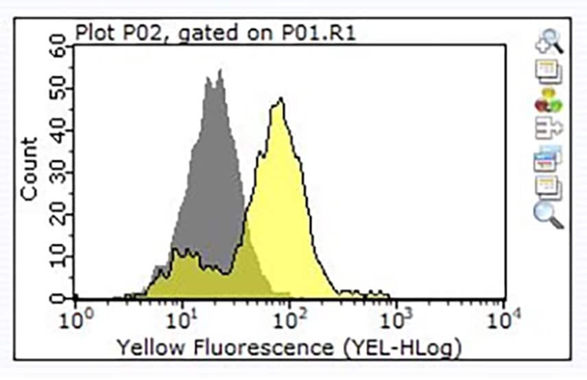 使用ZooMAb®兔单克隆抗体或等量的同型对照结合PE偶联的驴抗兔IgG二抗对一百万个Raji细胞进行染色的直方图。