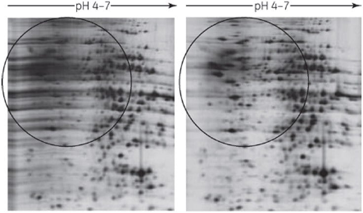 2-D Clean-Up Kit eliminates horizontal streaking caused by residual SDS