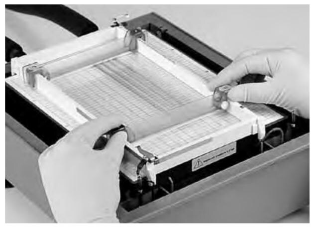 Alignment of electrodes over Immobiline® DryStrip gels.