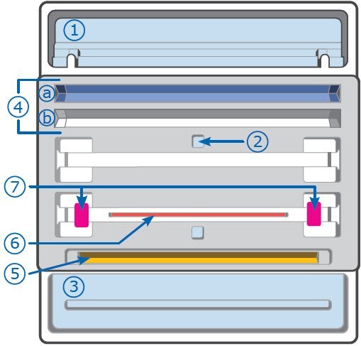 2-D gel electrophoresis PAGE Chip solution application