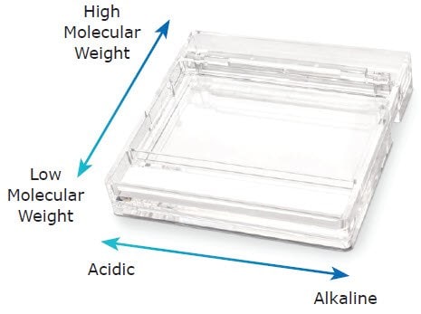 Marking of the gel helps identify alkaline and acid sides and protein molecular weight.