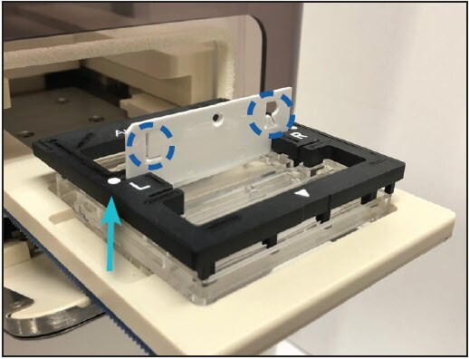 Loading the IEF Chip into the Auto2D® device