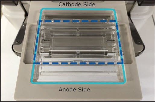2-D gel electrophoresis PAGE Chip and Tray assembly