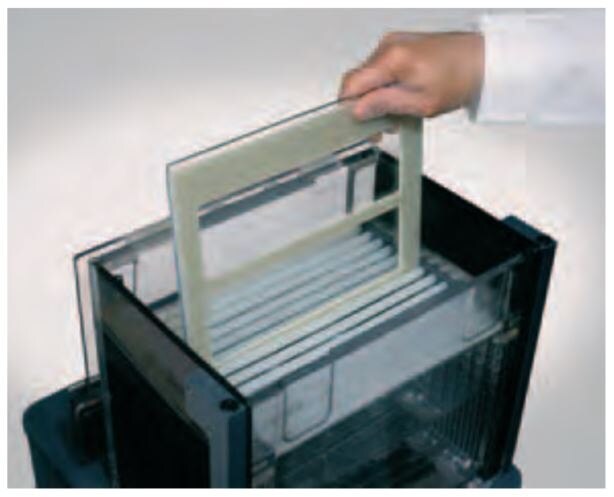 Loading the gel cassettes into Ettan™ DALTtwelve electrophoresis unit