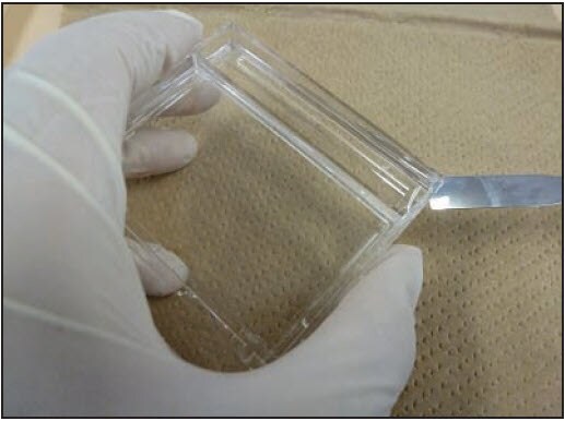 Marking of the Gel for Correct Orientation Mark the orientation of the gel with a small cut in one corner