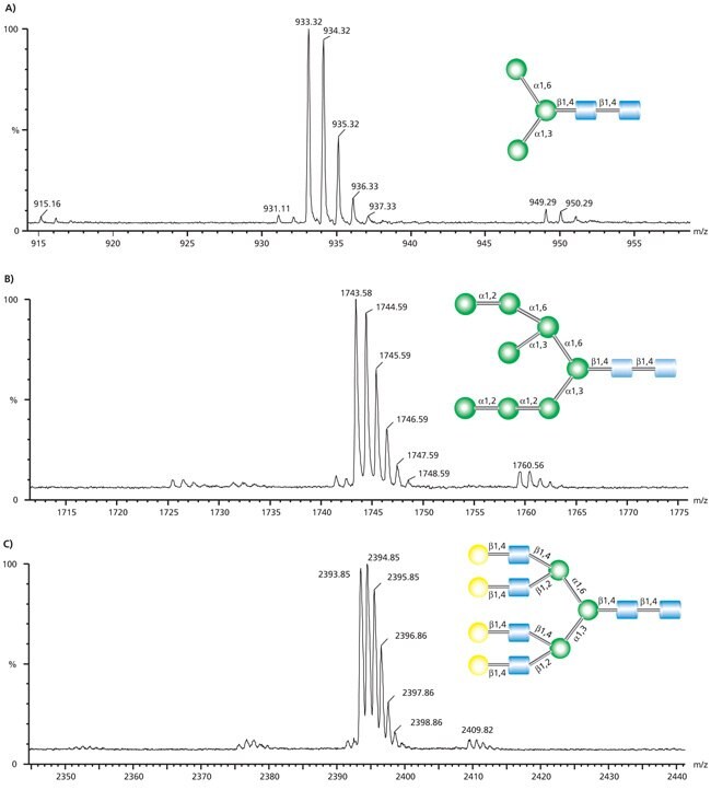 MALDI-TOF MS traces