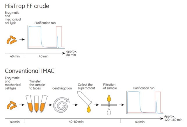 HisTrap™ FF crude columns save time during purification of histidine-tagged proteins compared with conventional IMAC. schematic of the protocol for HisTrap™ FF crude compared with conventional IMAC.