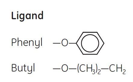 Ligands are coupled to the Sepharose® High Performance matrix via uncharged, chemically stable O-ether linkages
