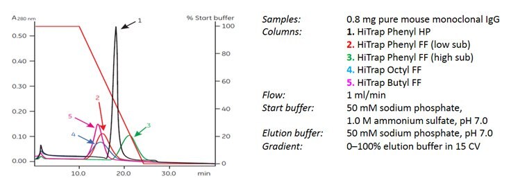 Media screening for monoclonal antibody purification
