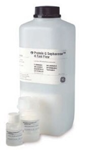 Protein G Sepharose® 4 Fast Flow is available in various bulk (lab packs) sizes for laboratory and process-scale applications. Protein G Sepharose