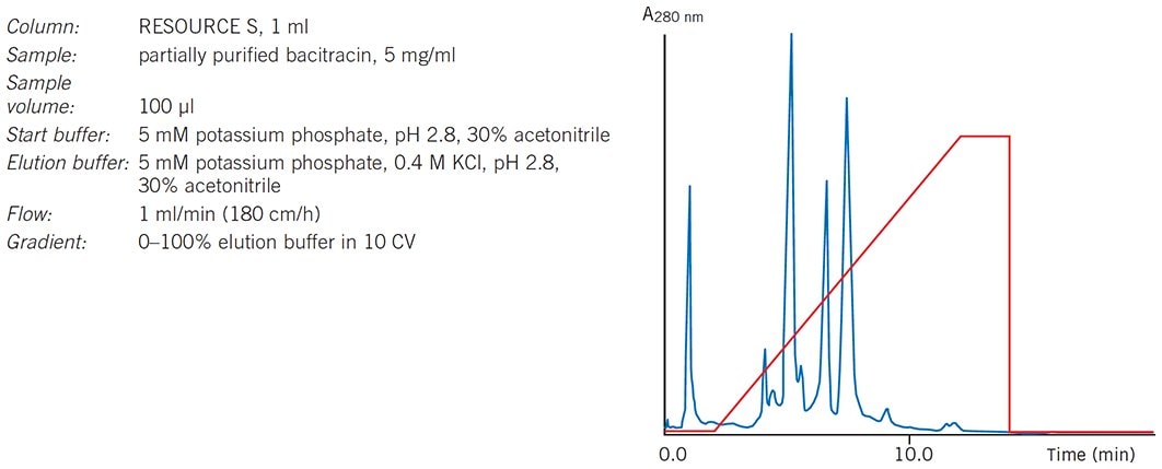 Intermediate purification of the peptide bacitracin from Bacillus subtilis on RESOURCE™ Q, 1 ml.