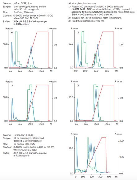 Optimization and scale up on DEAE Sepharose Fast Flow