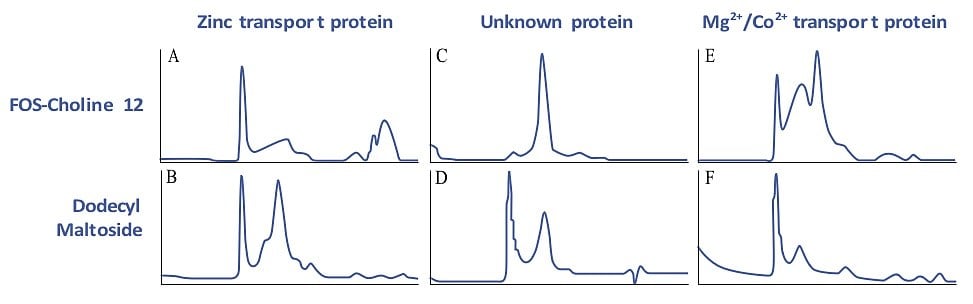 Size homogeneity characterization of membrane proteins by gel filtration
