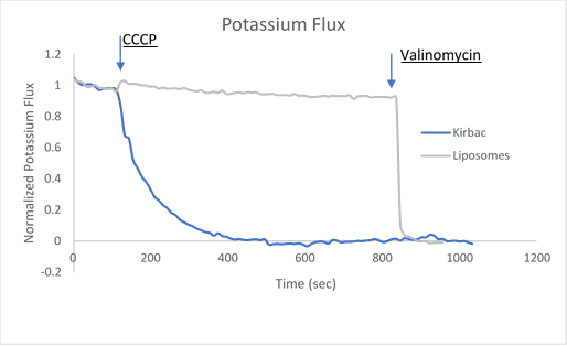 Sample data utilizing fluorescence-based flux assays to investigate either potassium or sodium flux in artificial liposomes.