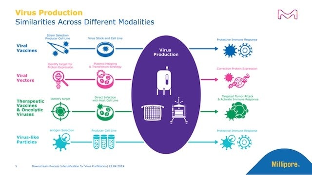 <p>Downstream Process Intensification for Virus Purification Using Membrane Chromatography</p>
Image shows slide 5 of the webinar slide deck displaying the similarities of production between the different modalities (viral vaccines, viral vectors, therapeutic vaccines & oncolytic viruses, and virus-like particles)