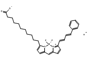 BODIPY 581/591 C11, 217075-36-0, undefined, 