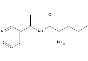 2-Amino-N-(1-(pyridin-3-yl)ethyl)pentanamide, 1218009-69-8, undefined, 