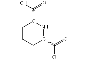 Cis-piperidine-2,6-dicarboxylic acid, 59234-40-1, undefined, 