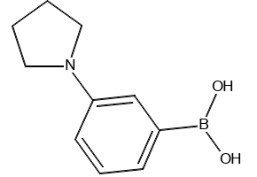 3-Pyrrolidinophenylboronic acid, 659731-18-7, undefined, 
