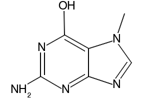 7-Methylguanine