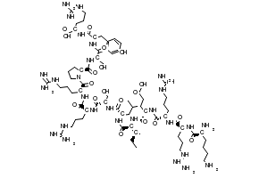 (6S,9S,12S,15S,18S,21S)-1-Amino-18-((S)-sec-butyl)-6-((S)-2-(((S)-1-(((S)-1-(((S)-1-carboxy-4-guanidinobutyl)amino)-3-(4-hydroxyphenyl)-1-oxopropan-2-yl)amino)-3-hydroxy-1-oxopropan-2-yl)carbamoyl)pyrrolidine-1-carbonyl)-21-((S)-2-((S)-2-((S)-2,6-diaminohexanamido)-5-guanidinopentanamido)-5-guanidinopentanamido)-9-(3-guanidinopropyl)-12-(hydroxymethyl)-1-imino-15-isobutyl-8,11,14,17,20-pentaoxo-2,7,10,13,16,19-hexaazatetracosan-24-oic acid