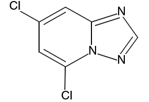 5,7-Dichloro-[1,2,4]triazolo[1,5-a]pyridine, 2009345-75-7, undefined, 