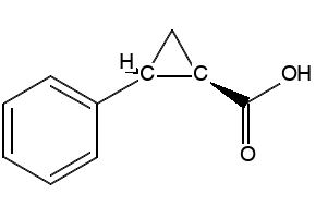 trans-2-Phenylcyclopropanecarboxylic acid