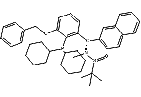 [S(R)]-N-[(S)-[3-(Benzyloxy)-2-(dicyclohexylphosphino)phenyl]-(2-naphthalenyl)methyl]-N,2-dimethyl-2-propanesulfinamide, 2565792-55-2, undefined, 
