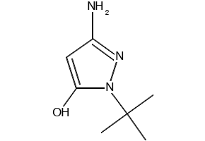 3-Amino-1-(tert-butyl)-1H-pyrazol-5-ol, 1269292-58-1, undefined, 