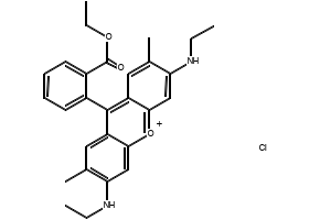 Rhodamine 6G, 989-38-8, undefined, 
