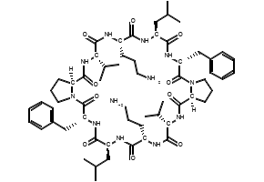 (6R,9S,12S,15S,17aS,23R,26S,29S,32S,34aS)-12,29-Bis(3-aminopropyl)-6,23-dibenzyl-9,26-diisobutyl-15,32-diisopropyltetracosahydrodipyrrolo[1,2-a:1',2'-p][1,4,7,10,13,16,19,22,25,28]decaazacyclotriacontine-5,8,11,14,17,22,25,28,31,34-decaone