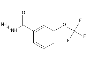 3-(Trifluoromethoxy)benzohydrazide