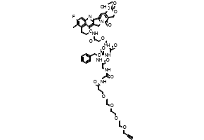 Propargyl-PEG4-GGFG-DXd, 2762518-94-3, undefined, 