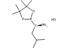 (R)-3-Methyl-1-(4,4,5,5-tetramethyl-1,3,2-dioxaborolan-2-yl)butan-1-amine hydrochloride, 1243174-57-3, undefined, 