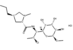 Clindamycin hydrochloride, 21462-39-5, undefined, 