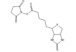 Biotin NHS