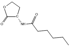 N-hexanoyl-L-Homoserine lactone