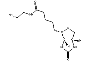 Biotin-EDA, 111790-37-5, undefined, 