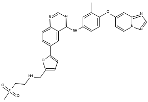 ARRY-380 (analog ), 937265-83-3, undefined, 