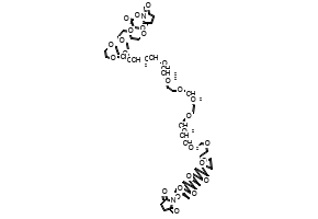 Bis(2,5-dioxopyrrolidin-1-yl) 4,7,10,13,16,19,22,25,28,31,34,37,40,43,46,49,52,55,58,61,64-henicosaoxaheptahexacontanedioate