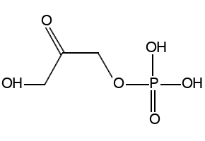 Dihydroxyacetone phosphate
