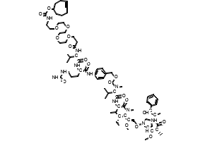 TCO-PEG4-VC-PAB-MMAE
