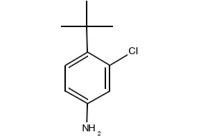 4-(tert-Butyl)-3-chloroaniline, 52756-36-2, undefined, 