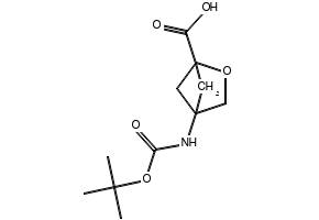 4-(tert-Butoxycarbonylamino)-2-oxabicyclo[2.1.1]hexane-1-carboxylic acid, 2287287-55-0, undefined, 