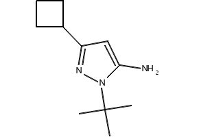 1-(tert-Butyl)-3-cyclobutyl-1H-pyrazol-5-amine, 817641-86-4, undefined, 