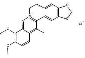 13-Methylberberine chloride, 54260-72-9, undefined, 