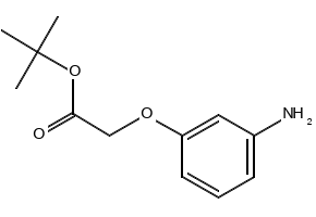 tert-Butyl 2-(3-aminophenoxy)acetate, 138563-68-5, undefined, 