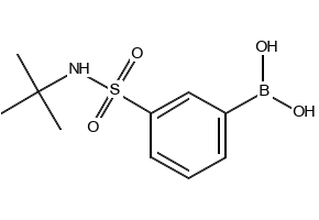 (3-(N-(tert-Butyl)sulfamoyl)phenyl)boronic acid, 221290-14-8, undefined, 